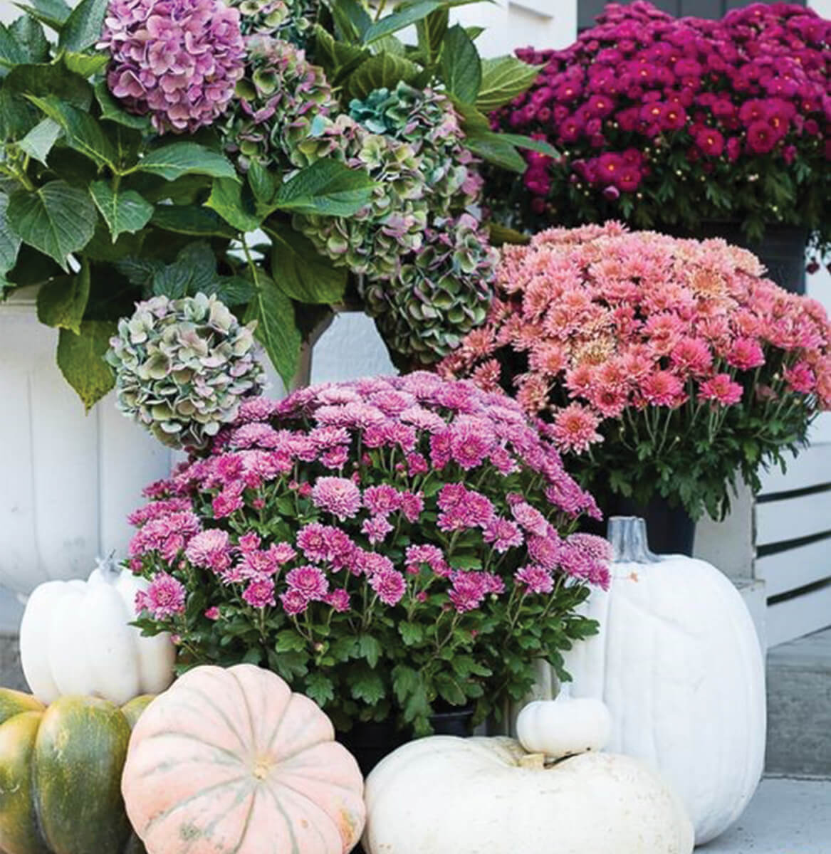 6 Ways To An Elegant Fall Exterior | Veridian Homes