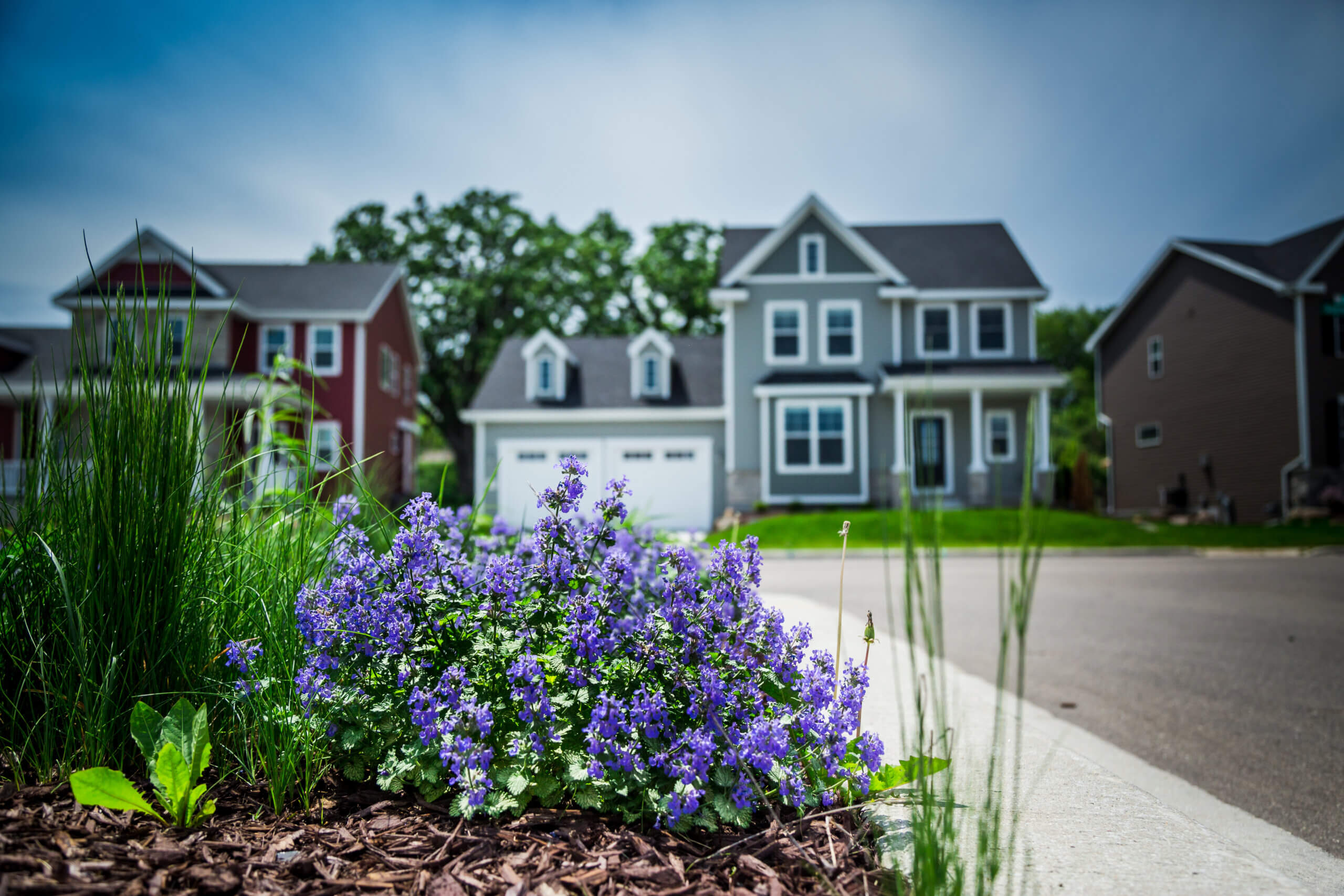 1000 Oaks Neighborhoods Veridian Homes