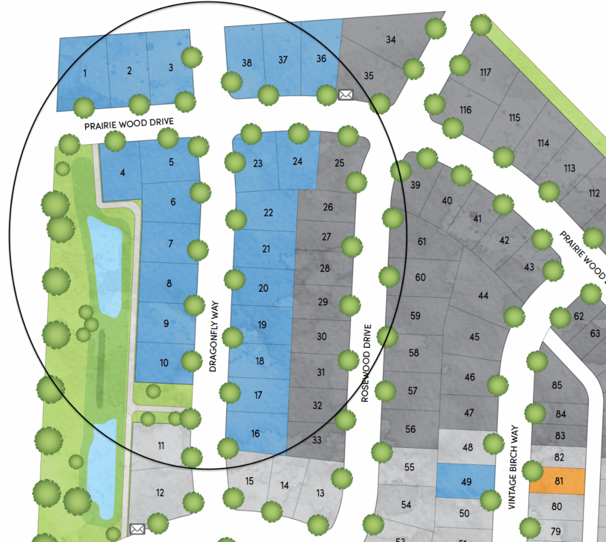 June Phase Releases Veridian Homes